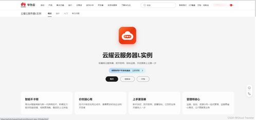 華為云云耀云服務器L實例深度評測 了解配置與管理，體驗‘秒快’云魅力